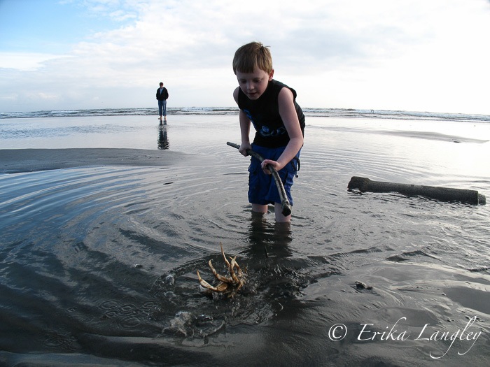 boy & crab 