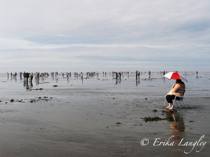 Razor clammers