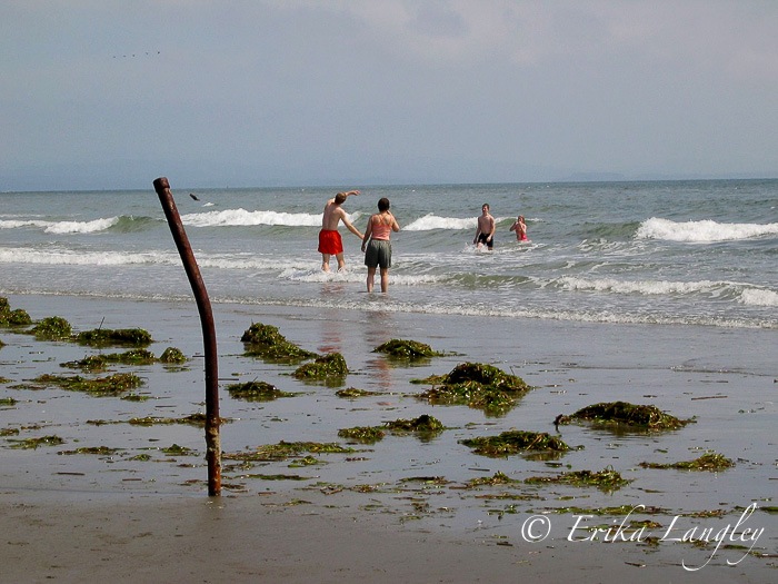 sand point swimmers