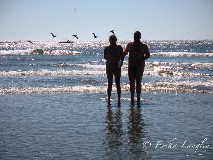 skinny dippers & pelicans