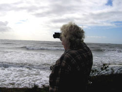 Washaway Beach Watcher